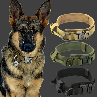 Dog Collar