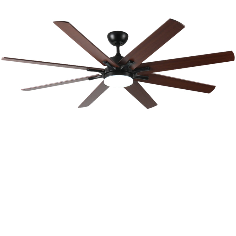 Plastic Ceiling Fans