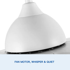Plastic Ceiling Fans