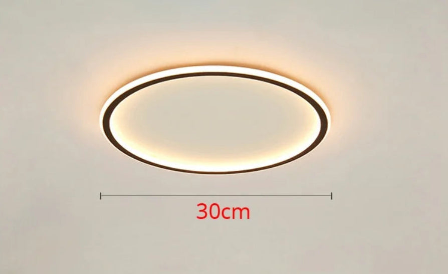Modern LED Chandelier Lights