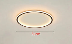 Modern LED Chandelier Lights
