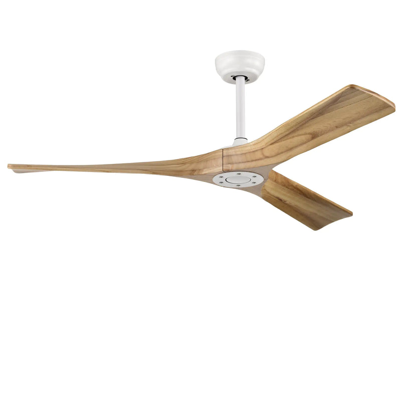 Metal Ceiling Fan