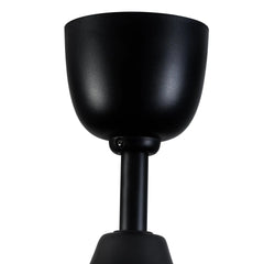 Metallic Black Ceiling Fan